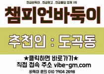 바둑이게임 실시간 플레이 가이드